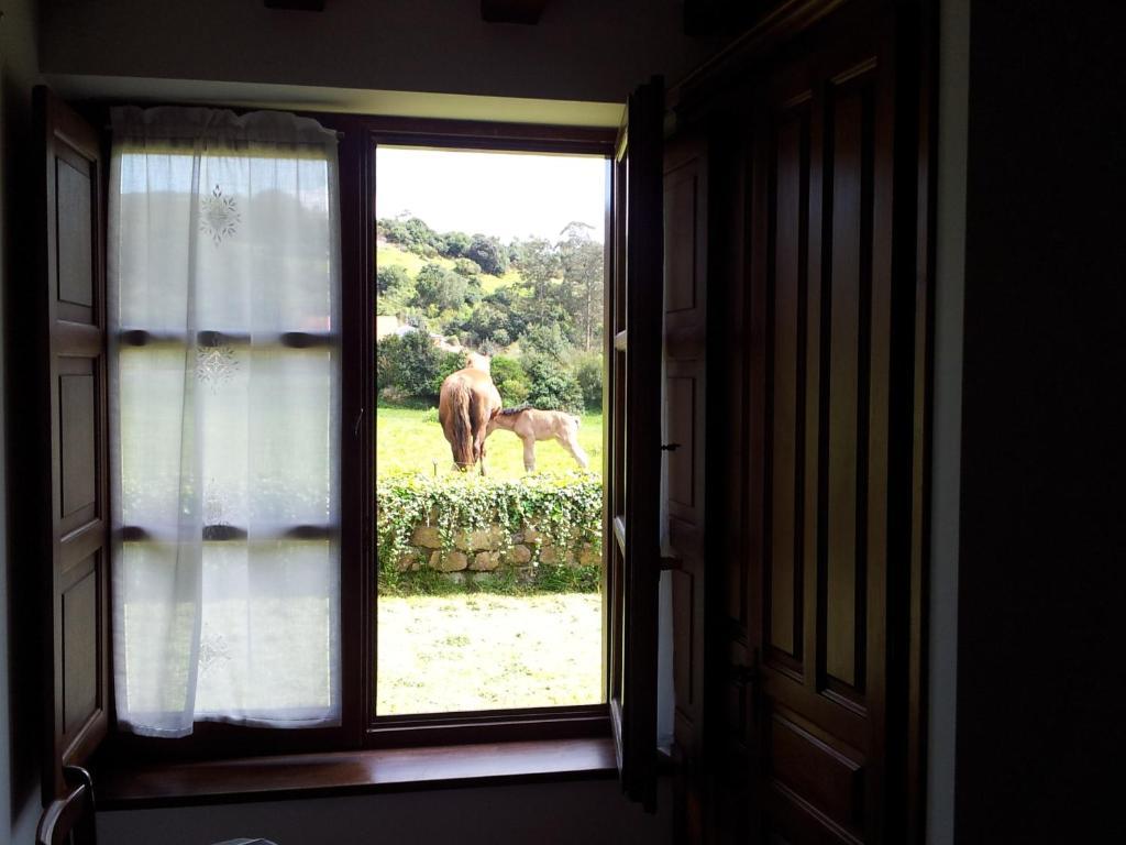 Apartamentos La Roblera Orena Cameră foto